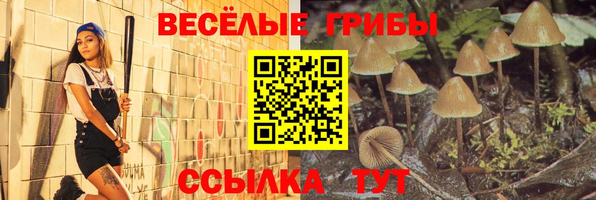 Псилоцибиновые грибы Psilocybine cubensis  Вход с VPN  Липецк 